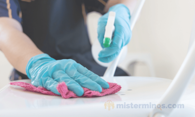Trabajos en el area de Limpieza de Residencias y Apartamentos 7